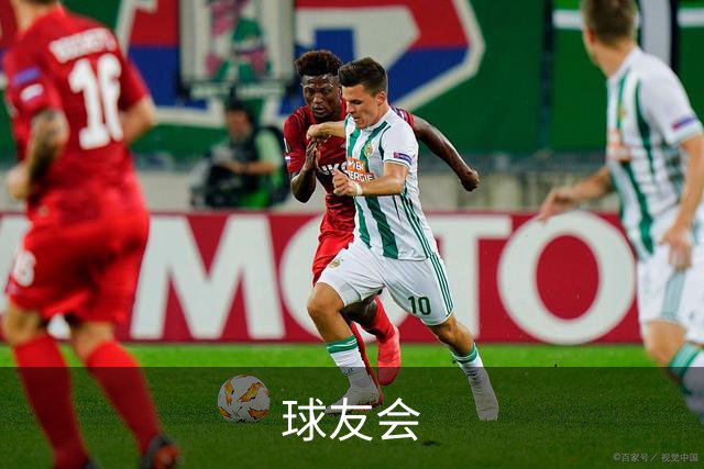 球友会团队与服务介绍